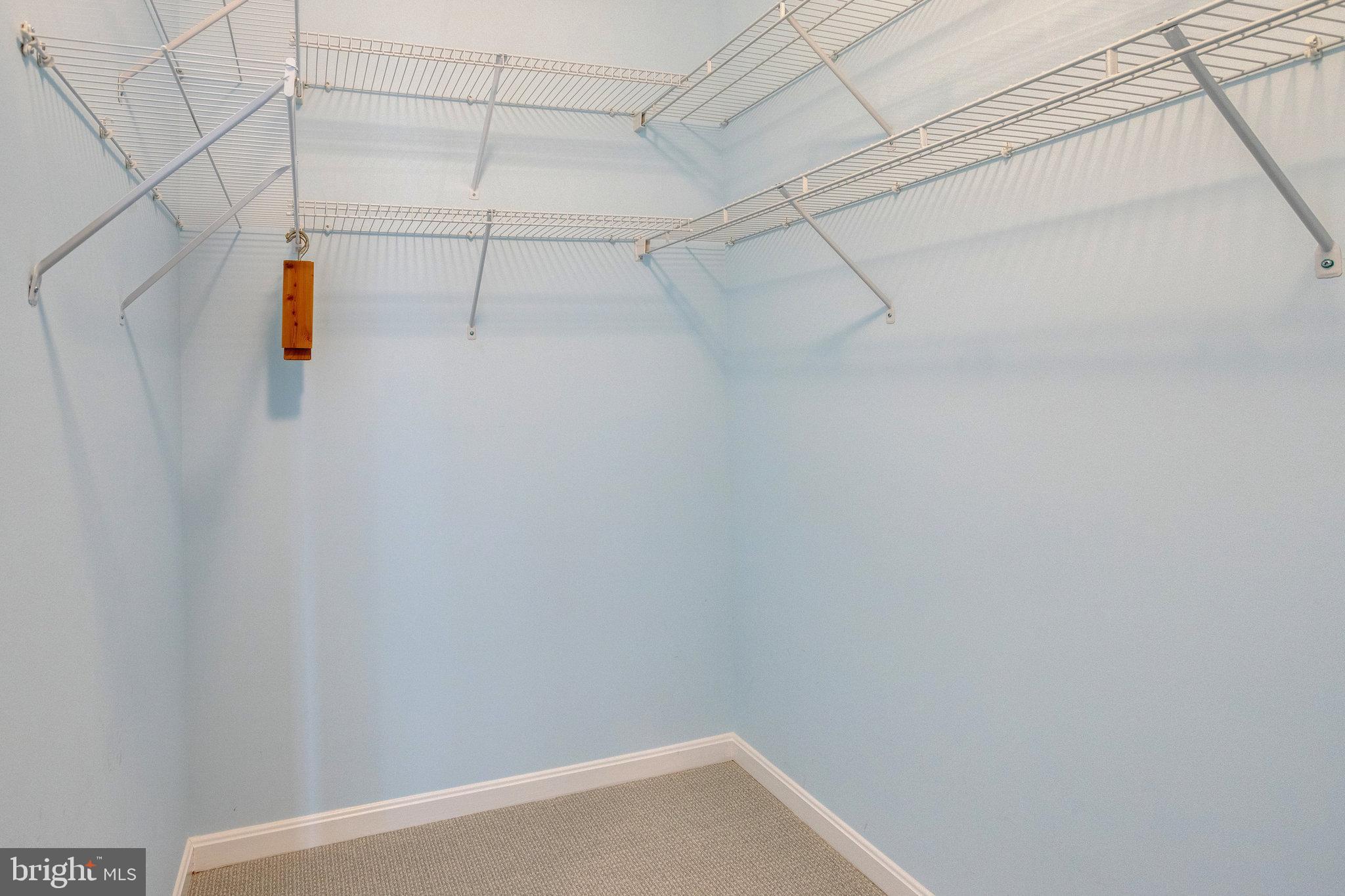 3705 Apple Cider COURT