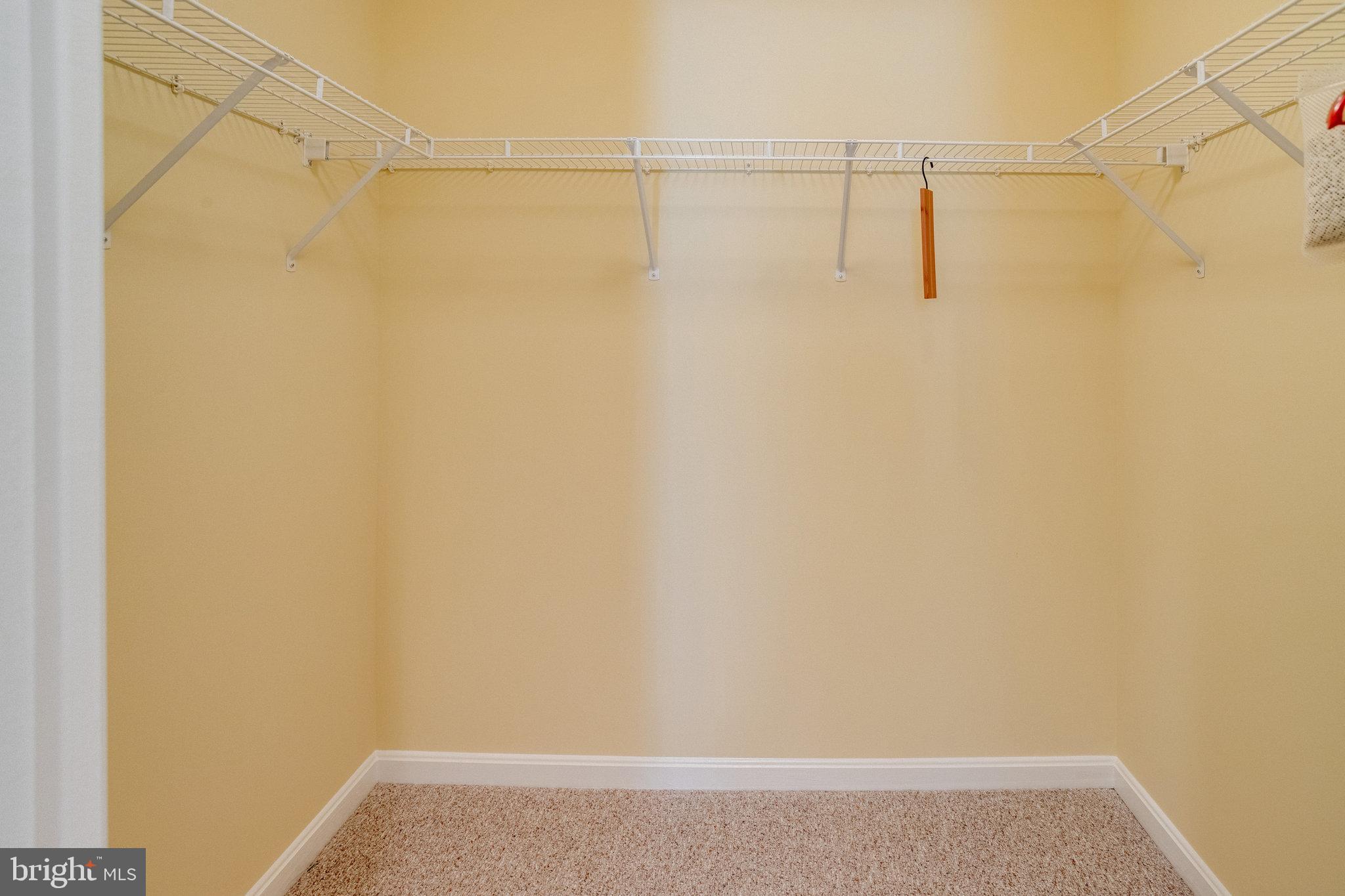 3705 Apple Cider COURT