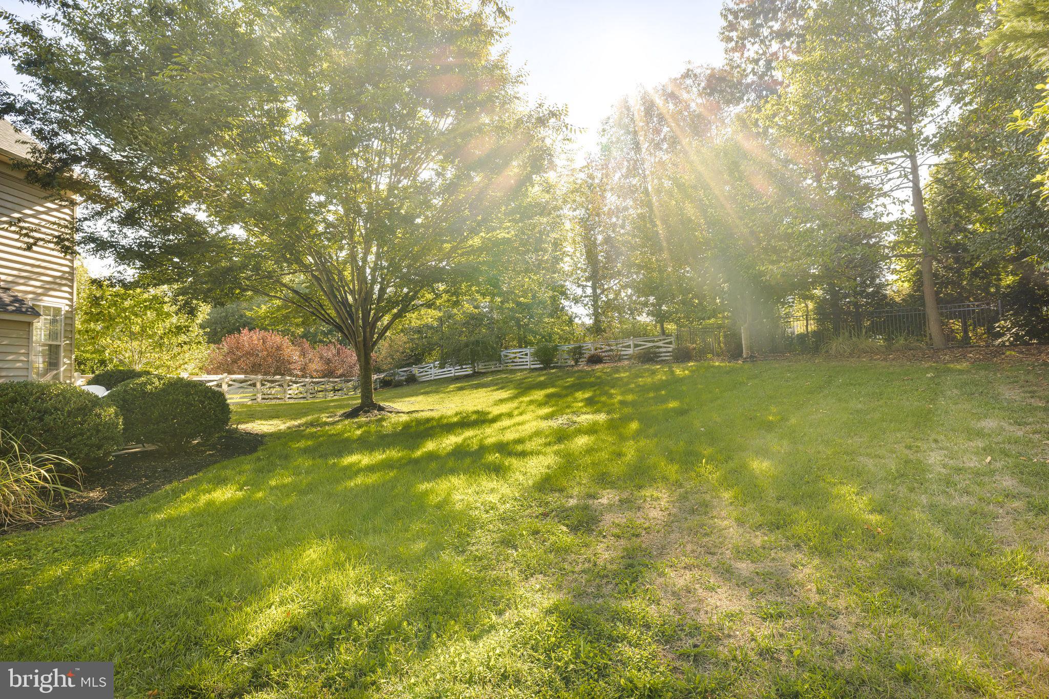 5048 Signature COURT