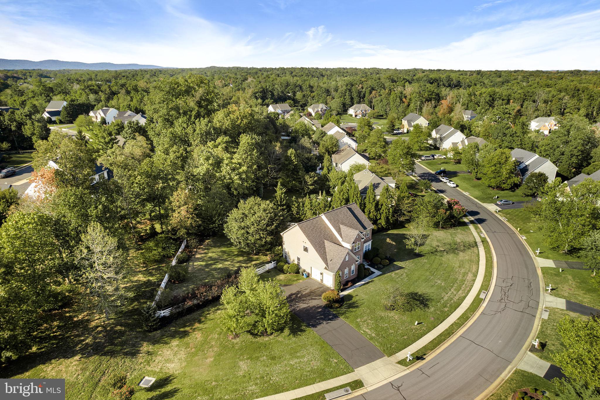 5048 Signature COURT