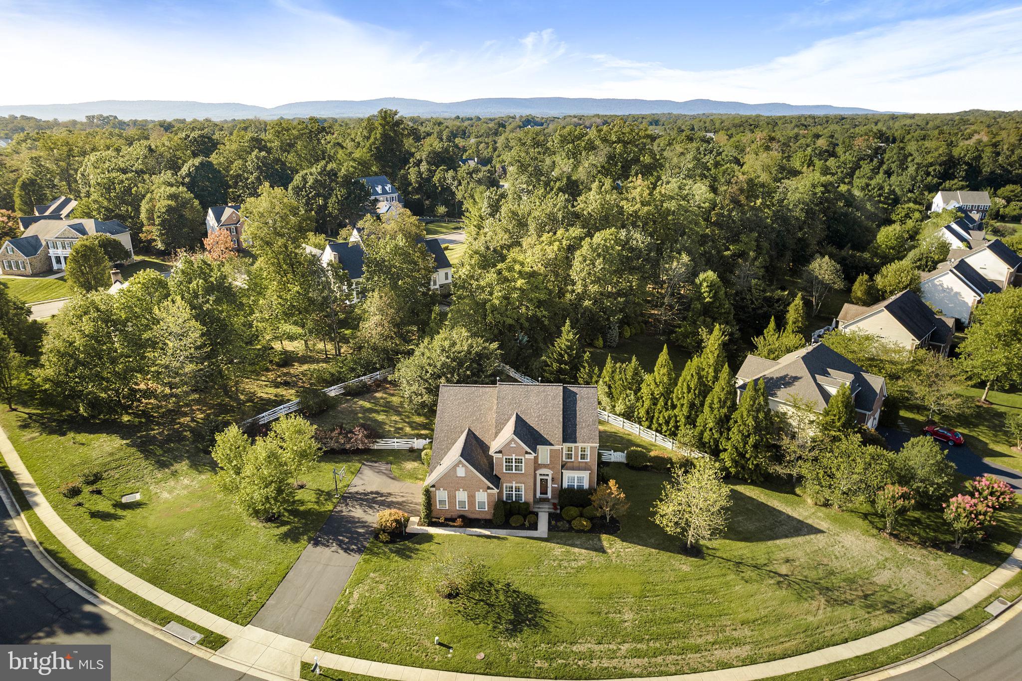5048 Signature COURT