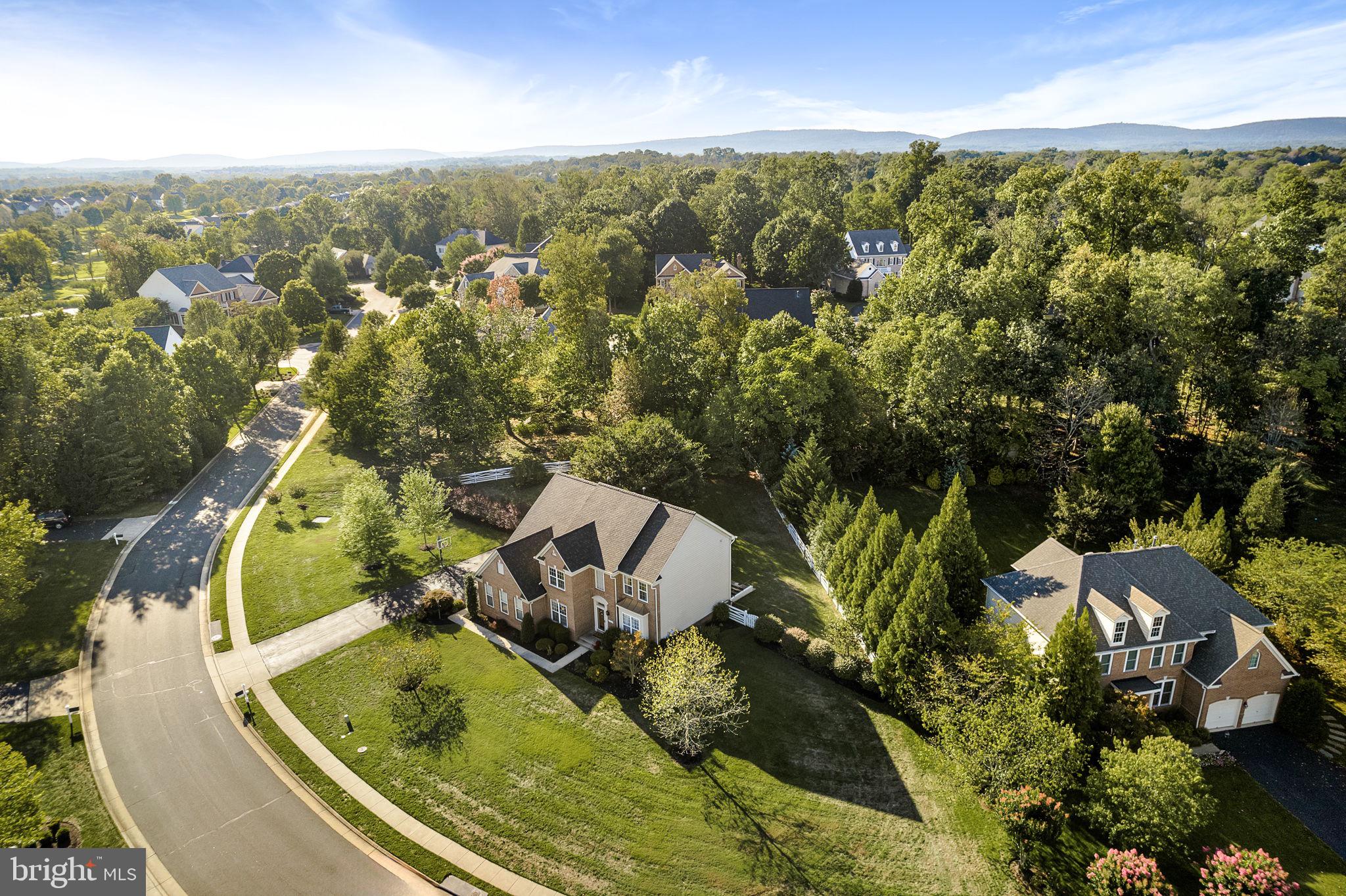 5048 Signature COURT