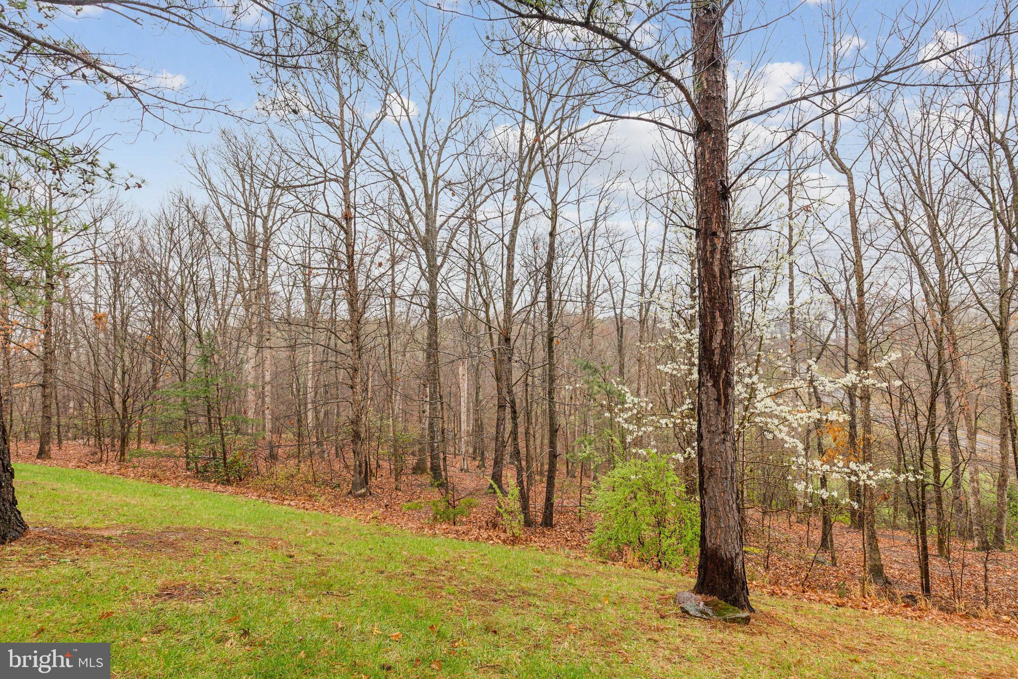 9808 Cheshire Ridge Cir