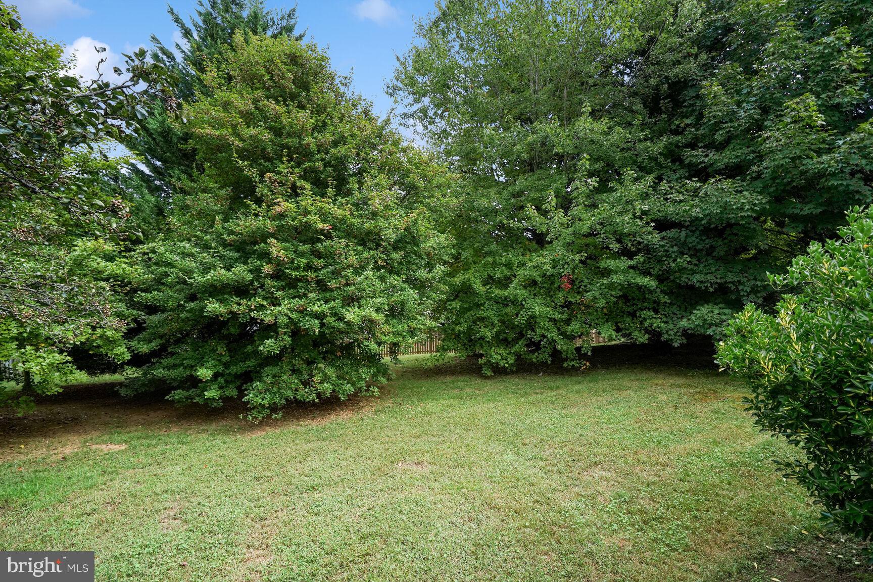 5625 Hobsons Choice Loop
