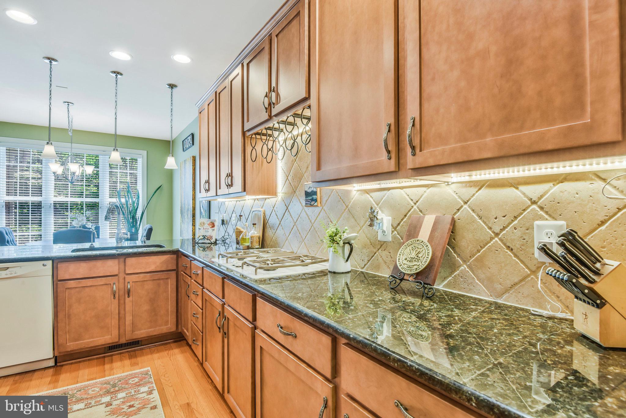 5765 Amelia Springs Cir