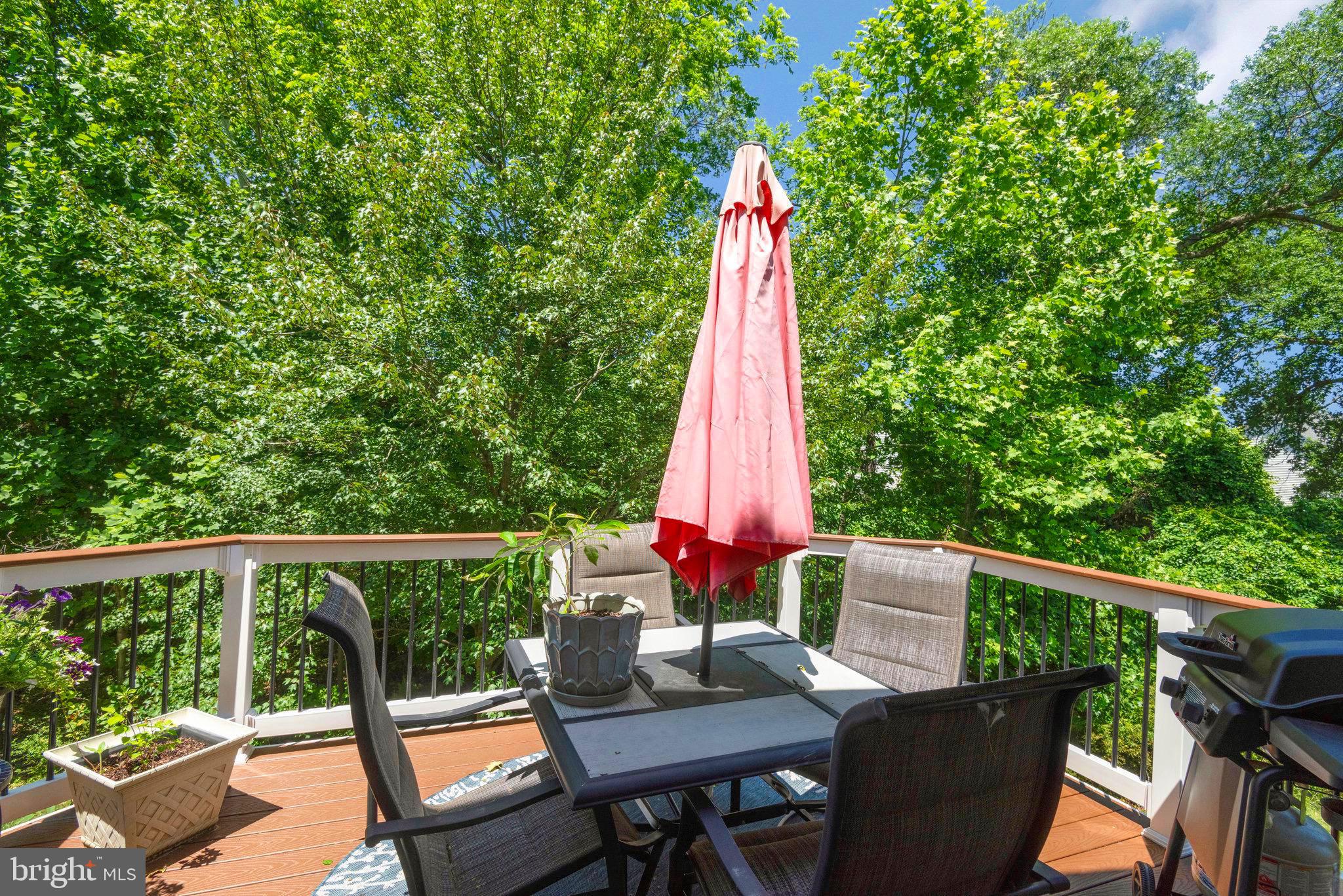 5765 Amelia Springs Cir