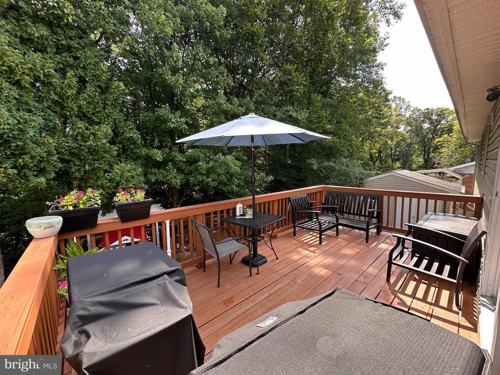 14905 DAYTONA CT