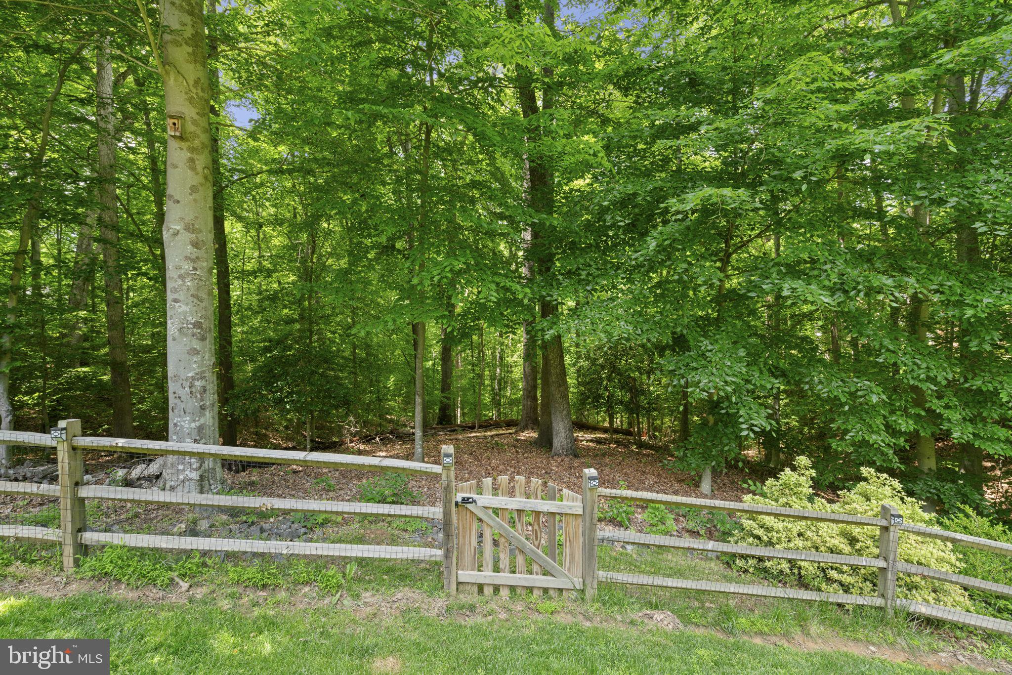 11910 Rocky Brooke Ct