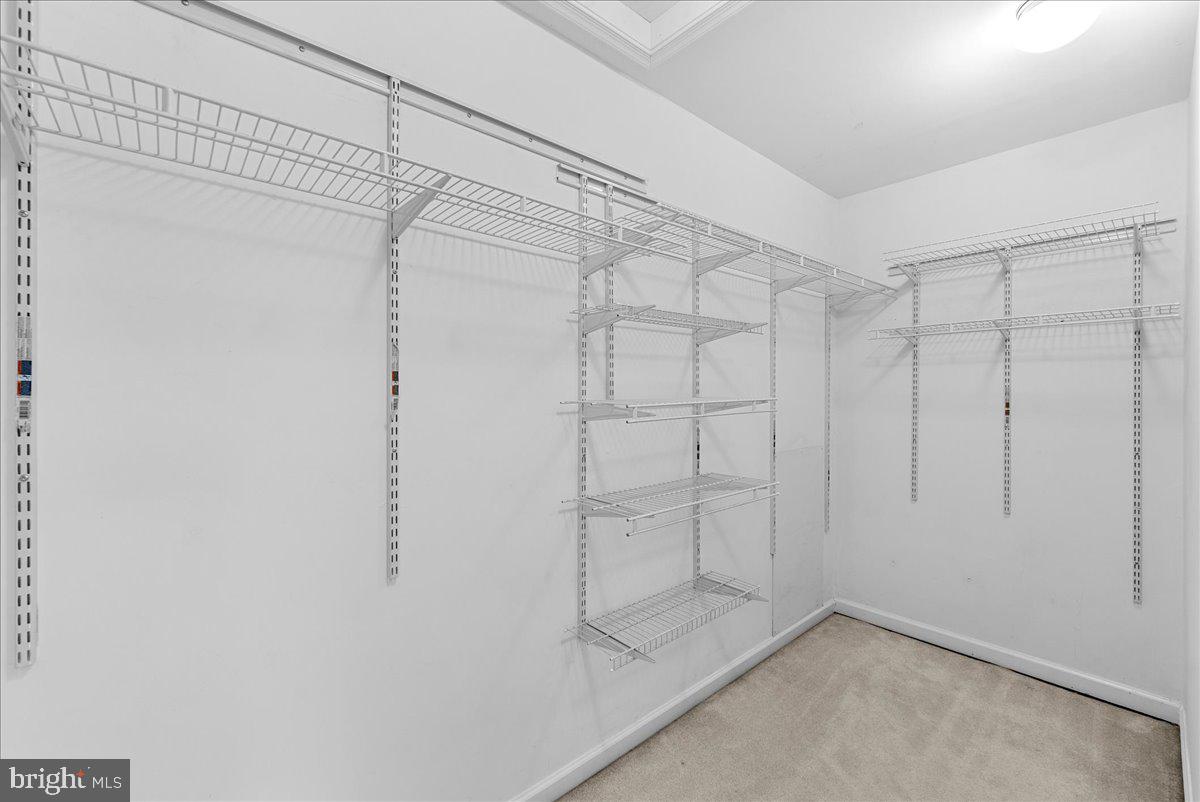 2565 Grayton Ln