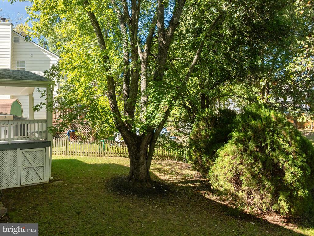 6176 Preston Ct
