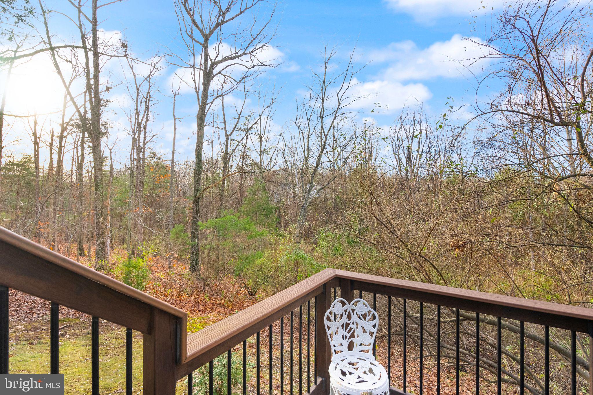 9534 Country Roads Ln