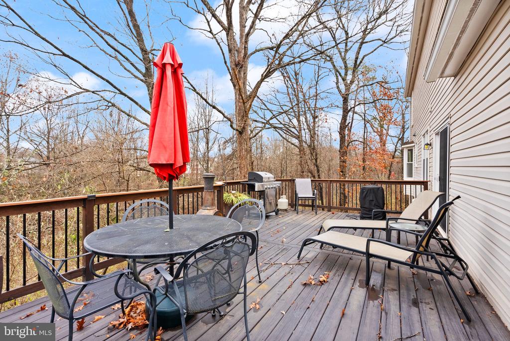 9534 Country Roads Ln