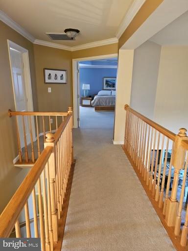 10466 MANNS HARBOR CT
