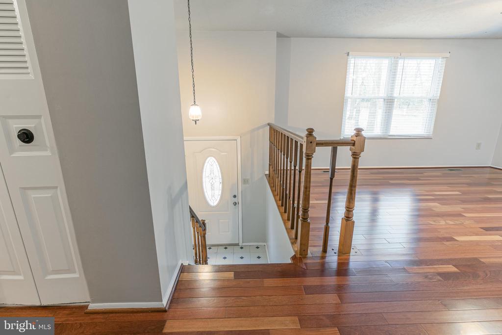 8142 Raphiel Ct