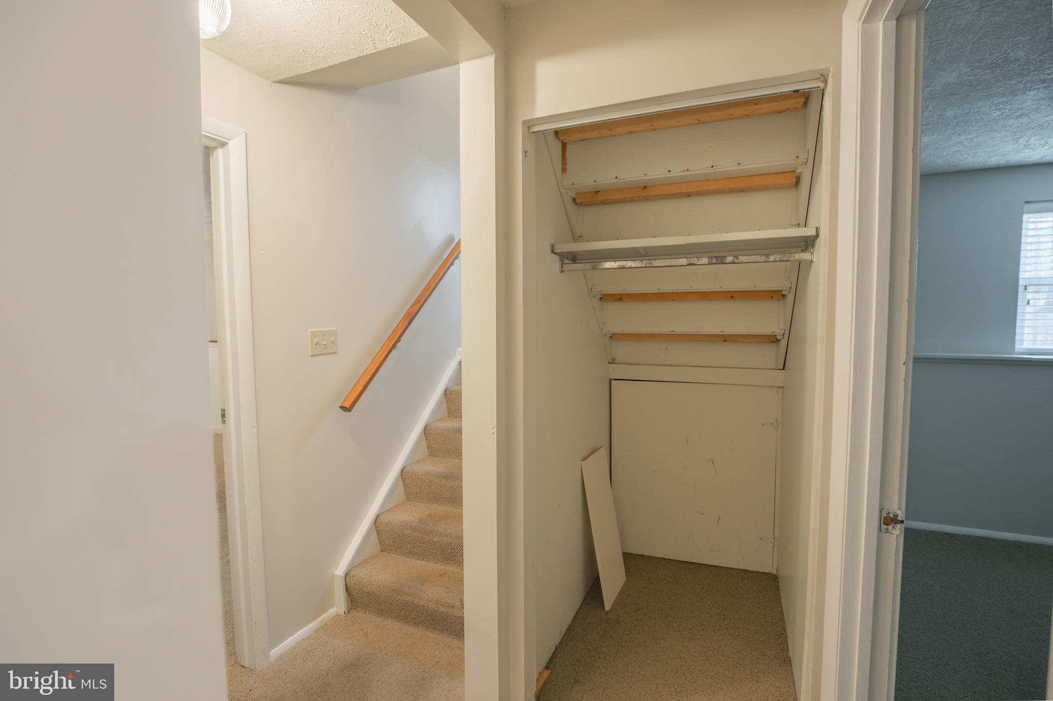 8142 Raphiel Ct