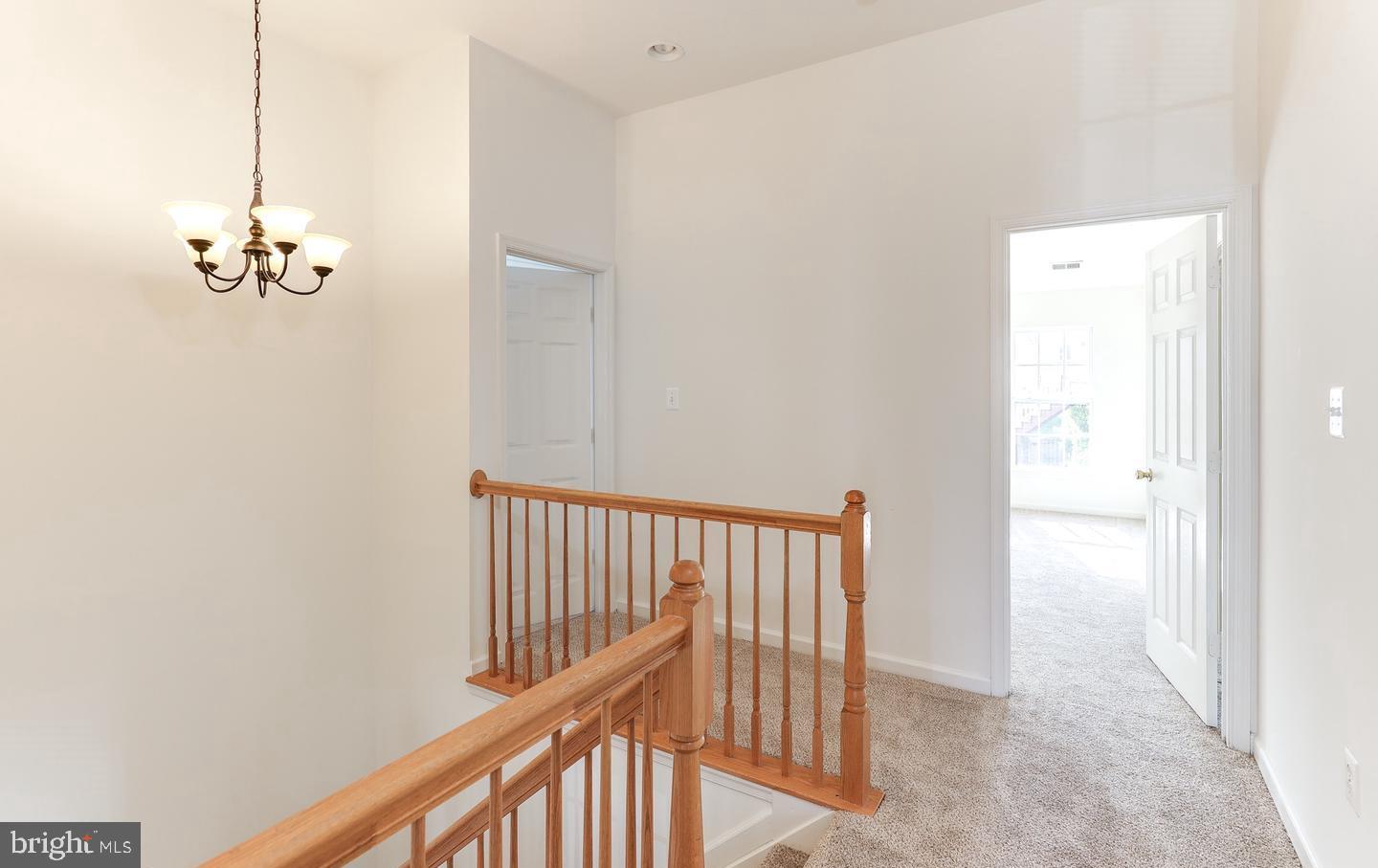 5553 Hobsons Choice Loop
