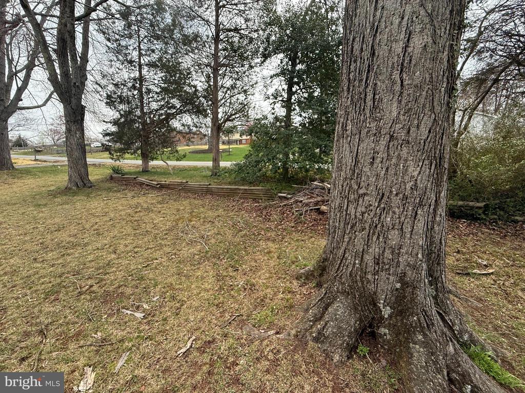 7923 Maplewood Dr