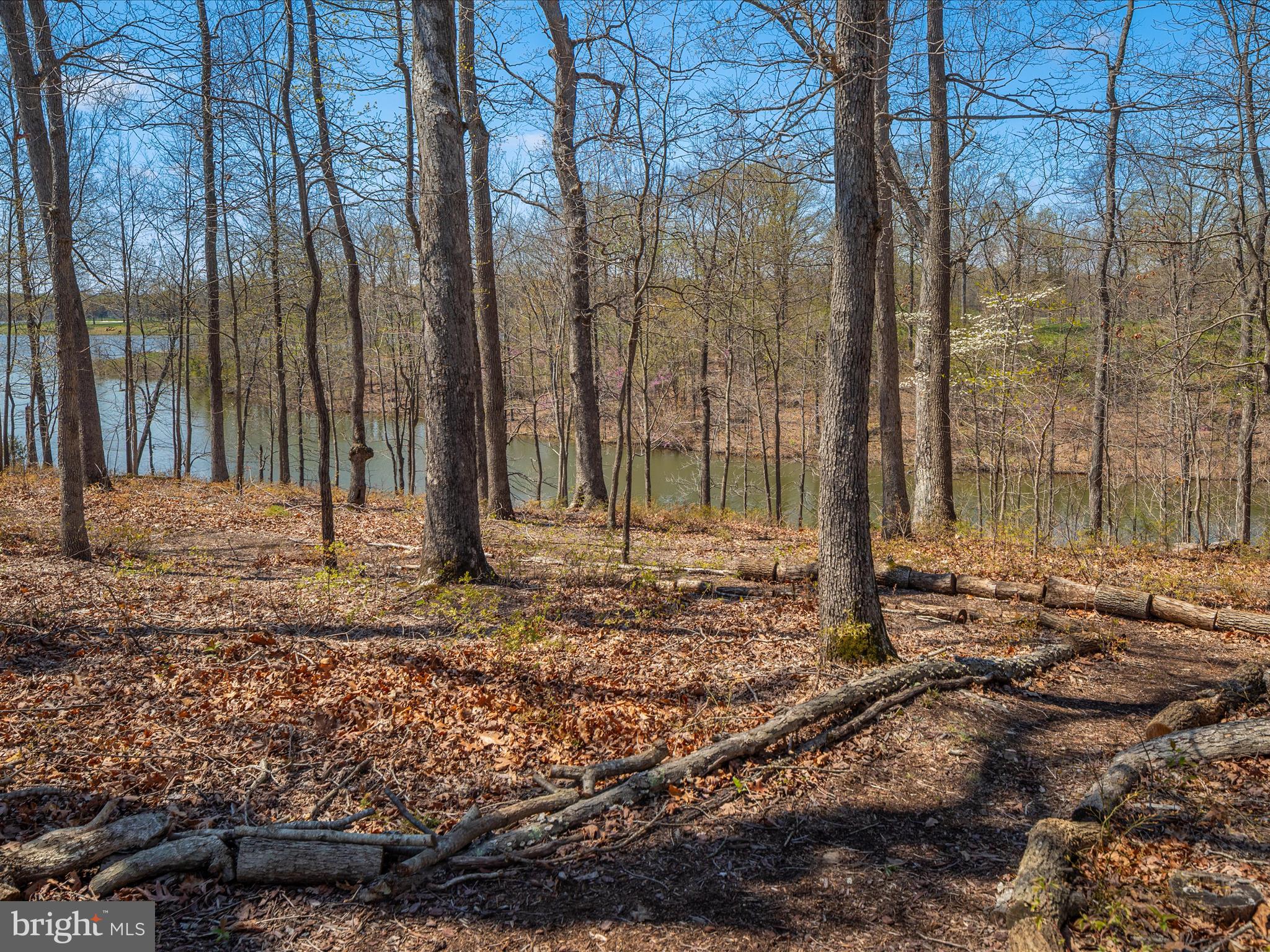 14500 Moss Ledge Ct