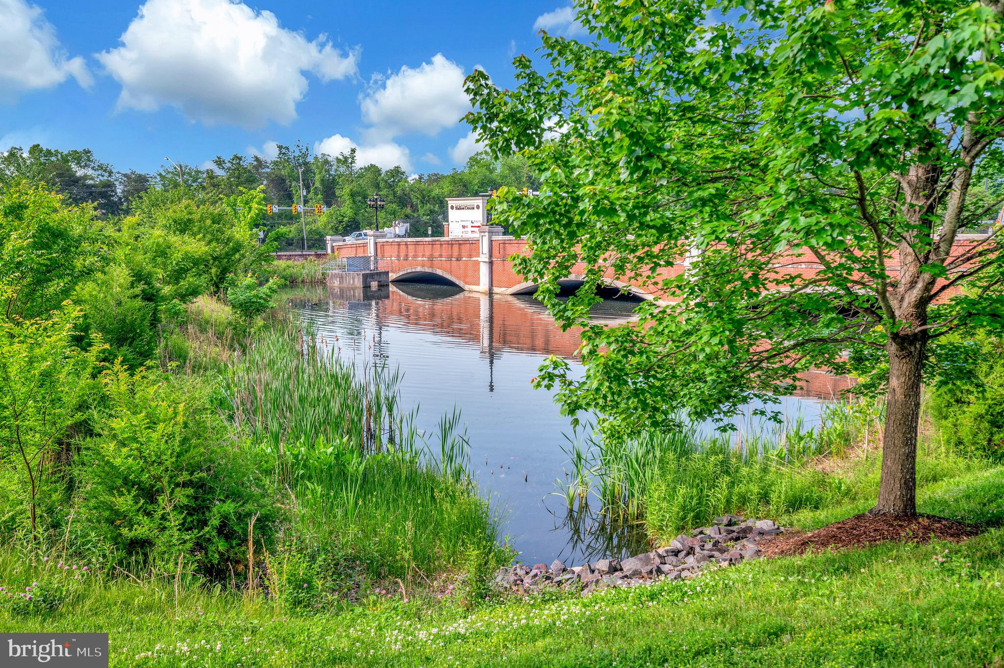 7848 Cedar Branch Dr