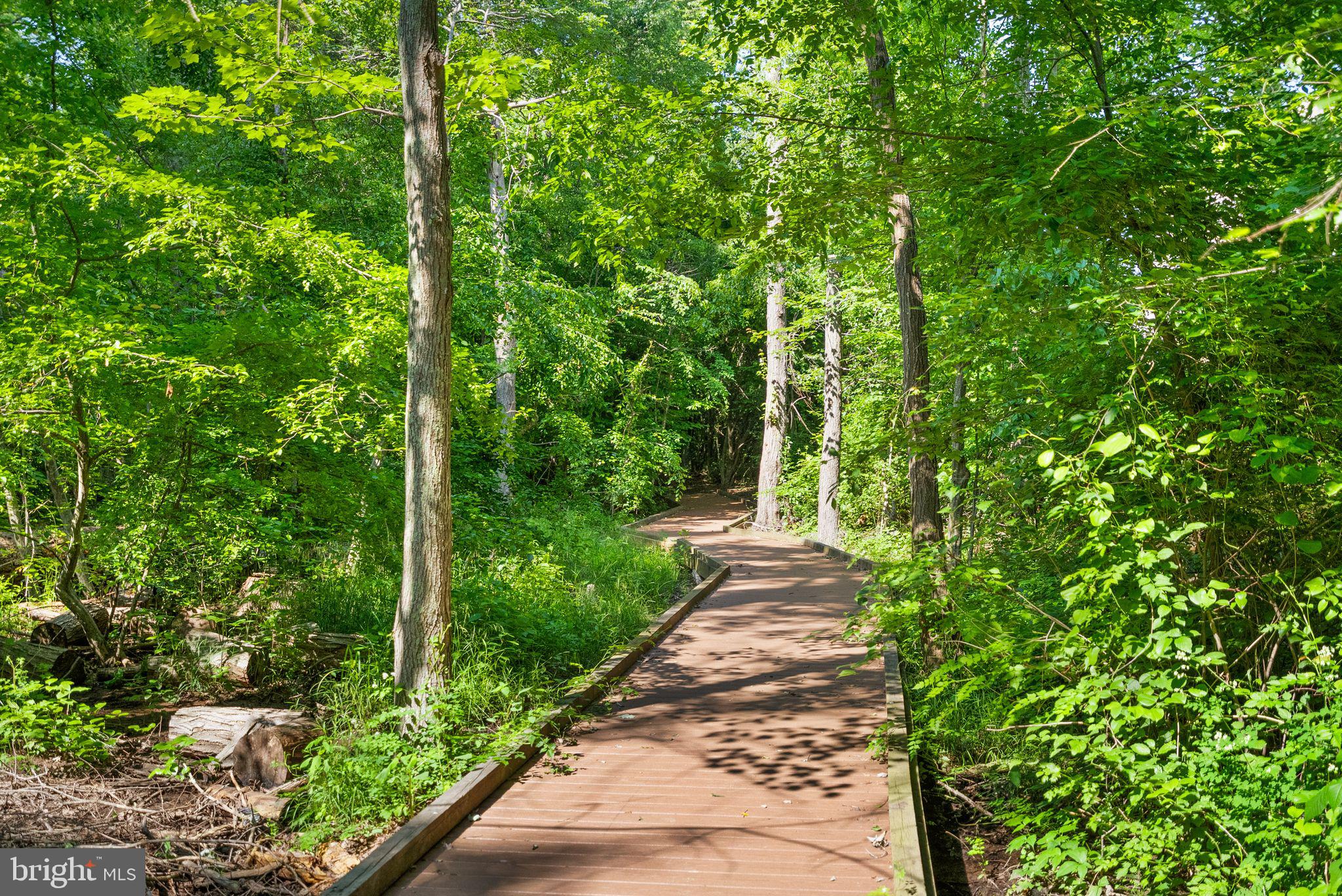 10872 Mayfield Trace Pl