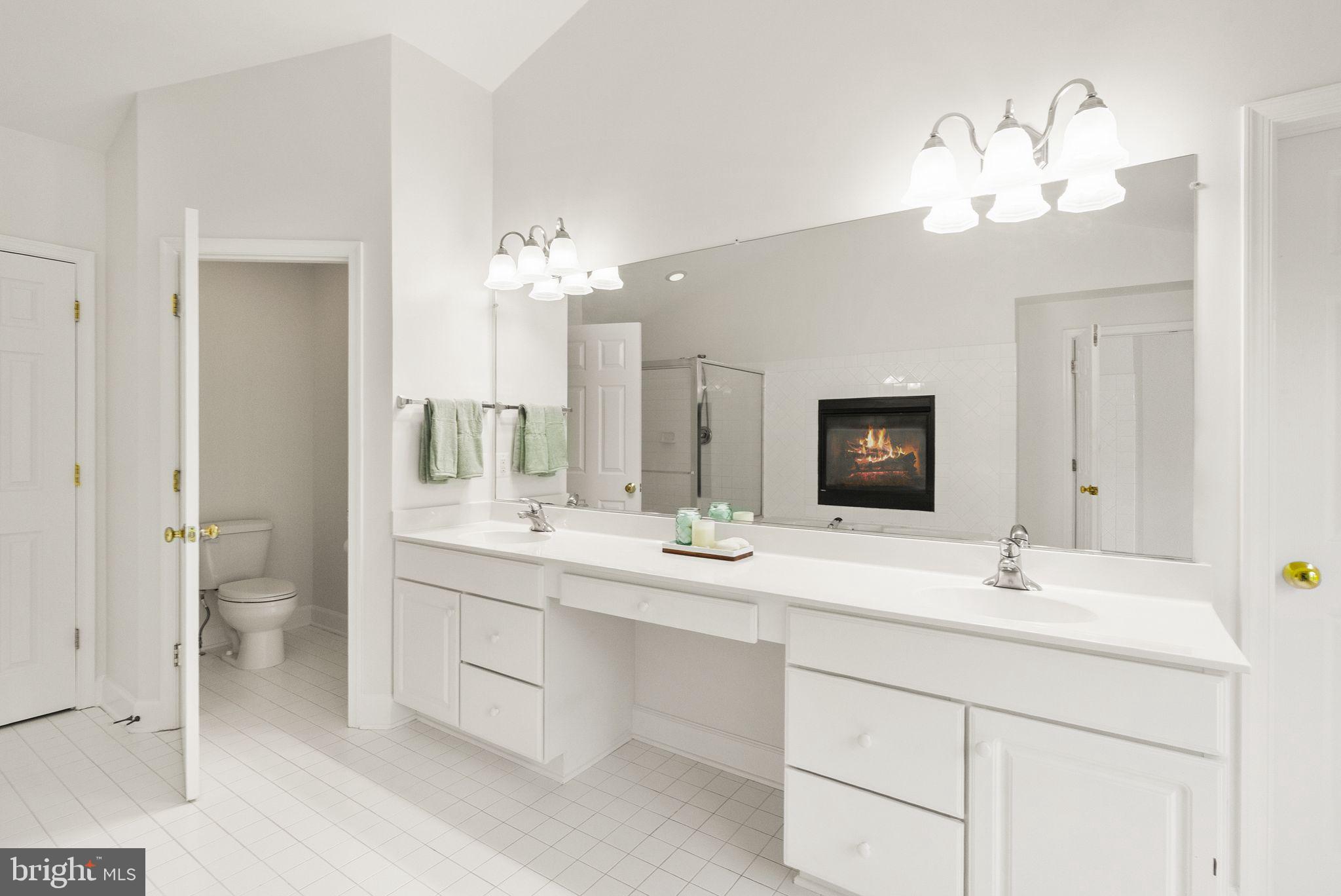 10872 Mayfield Trace Pl