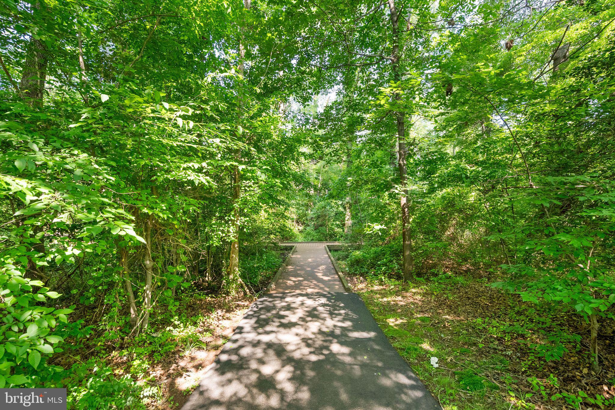 10872 Mayfield Trace Pl