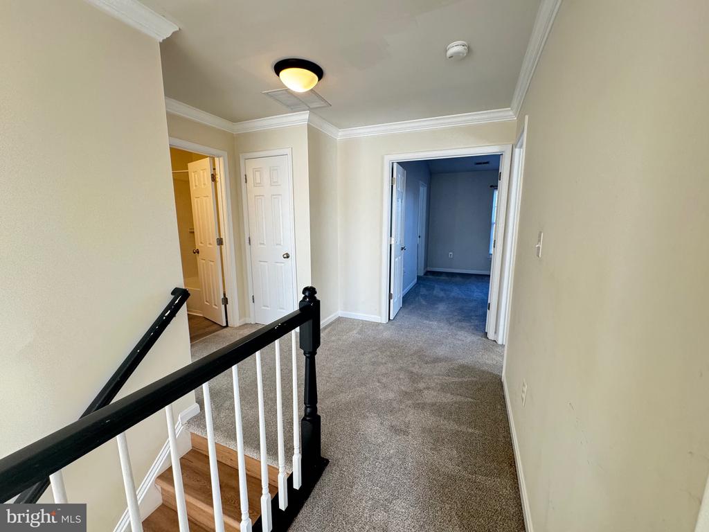 6485 ASHBY GROVE LOOP