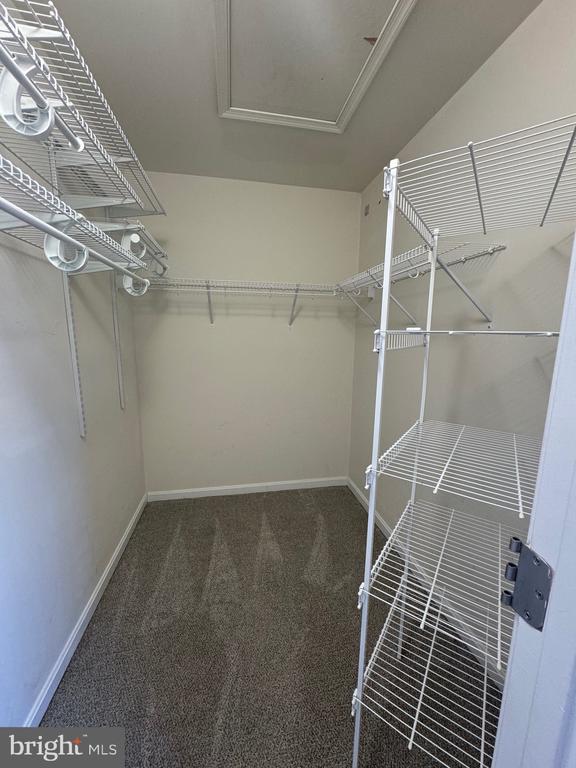 6485 ASHBY GROVE LOOP