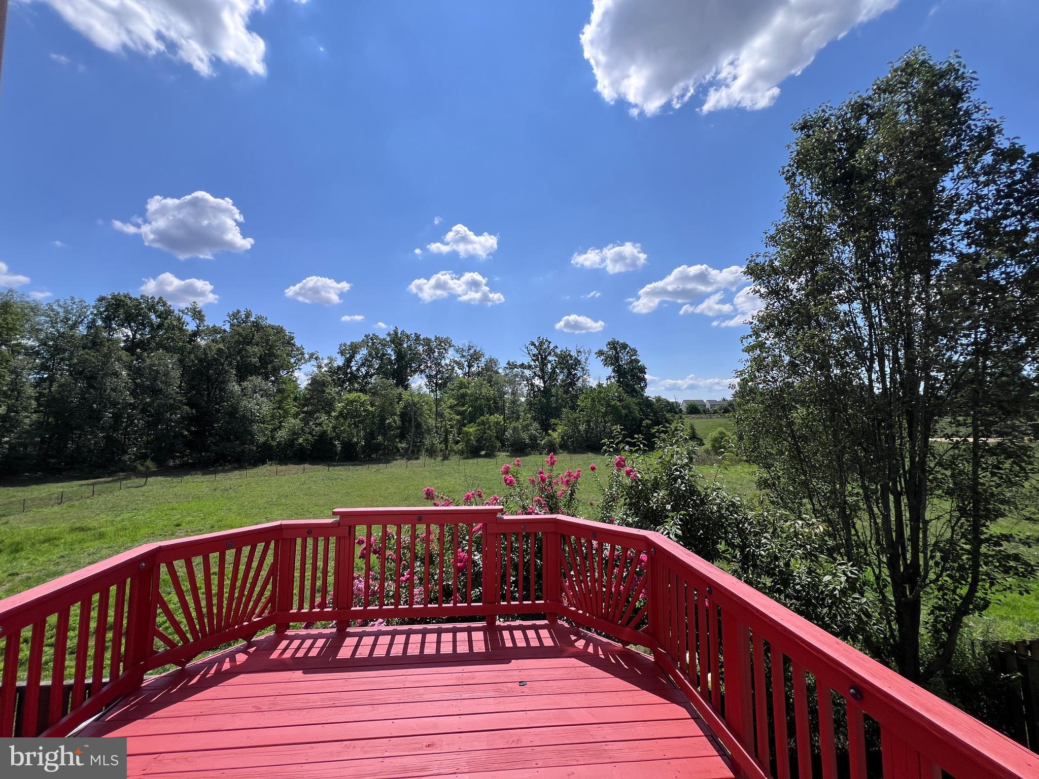 8951 BREWER CREEK PL