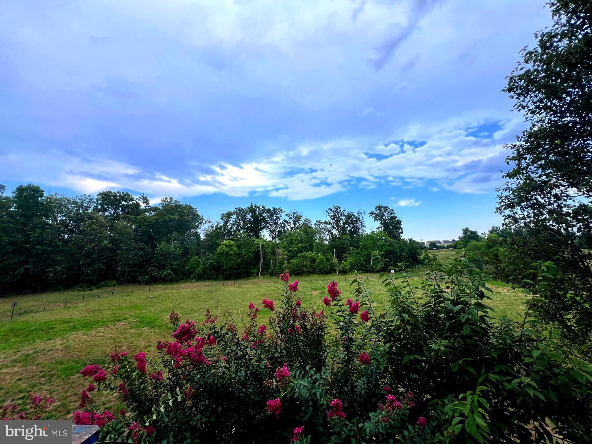 8951 BREWER CREEK PL