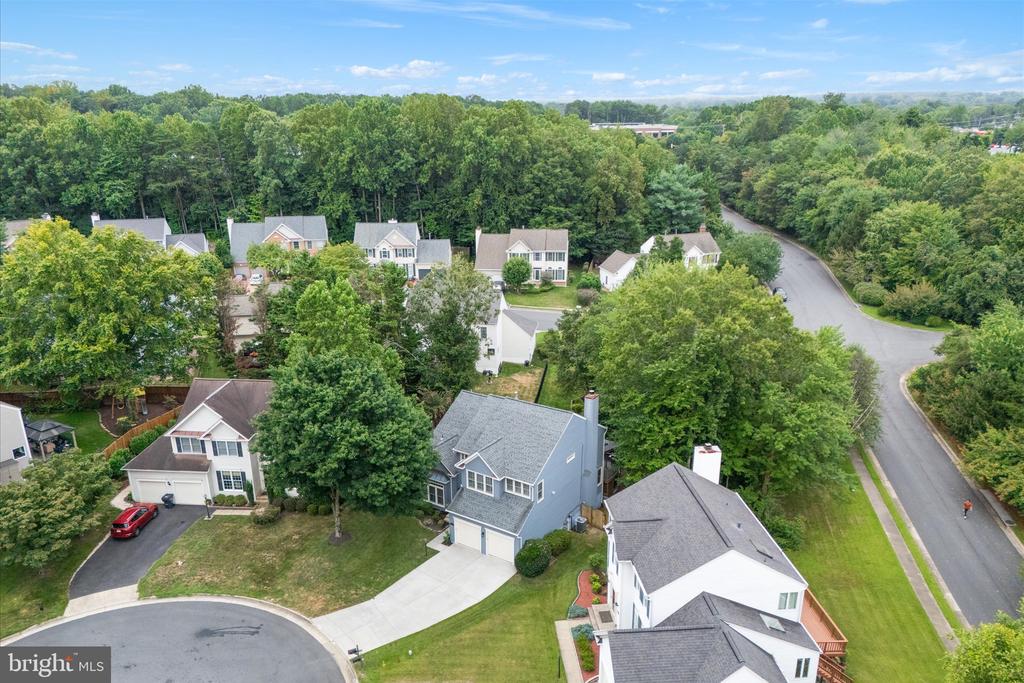 13204 Windy Leaf Ct