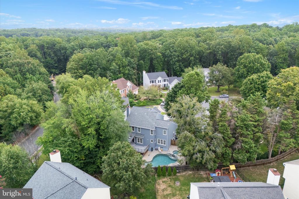13204 Windy Leaf Ct