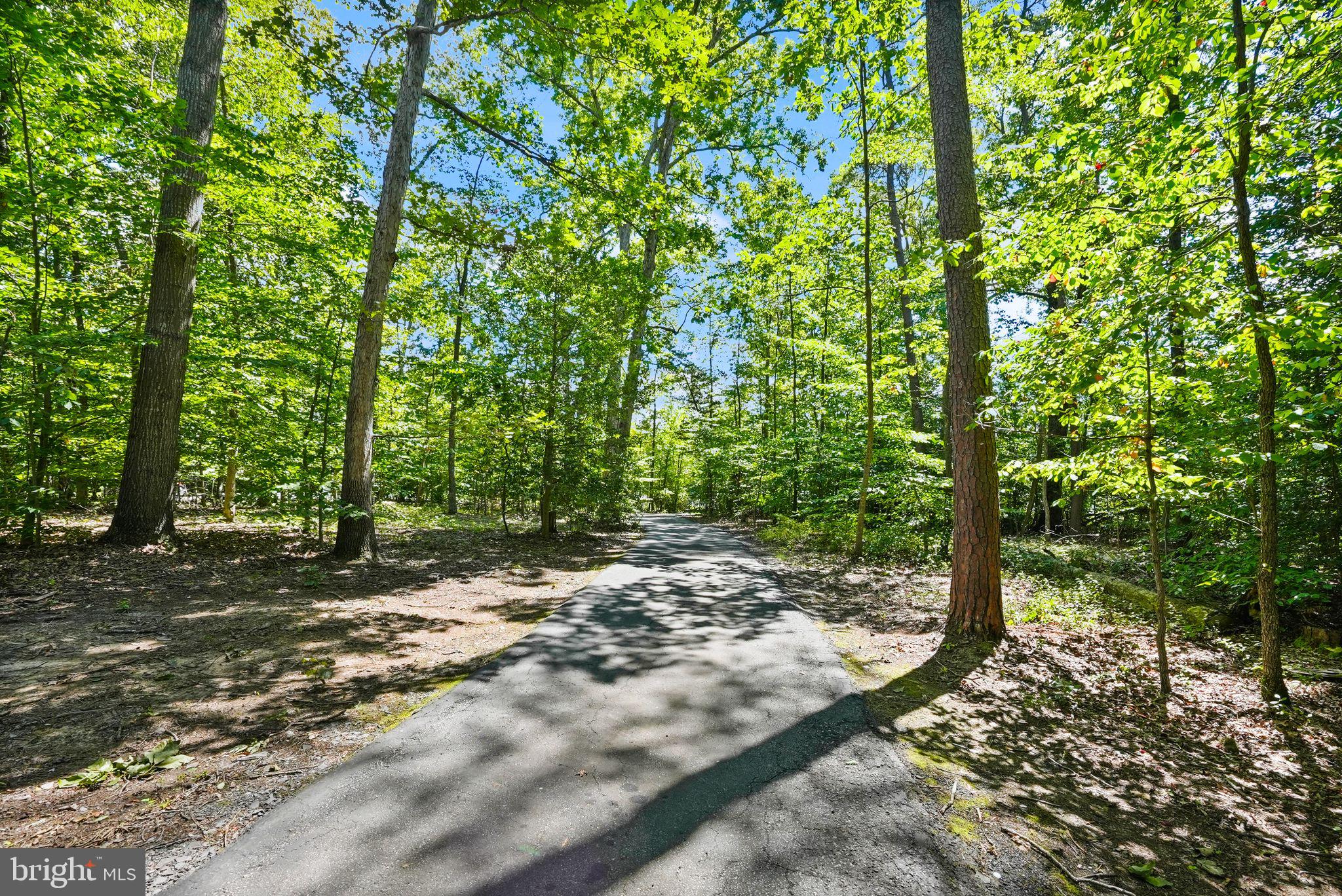 6040 TOKEN FOREST DRIVE