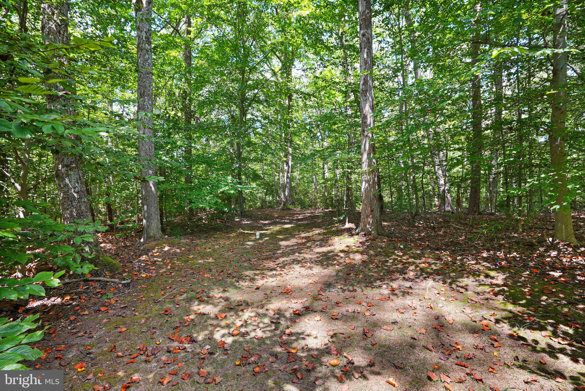 6040 TOKEN FOREST DRIVE