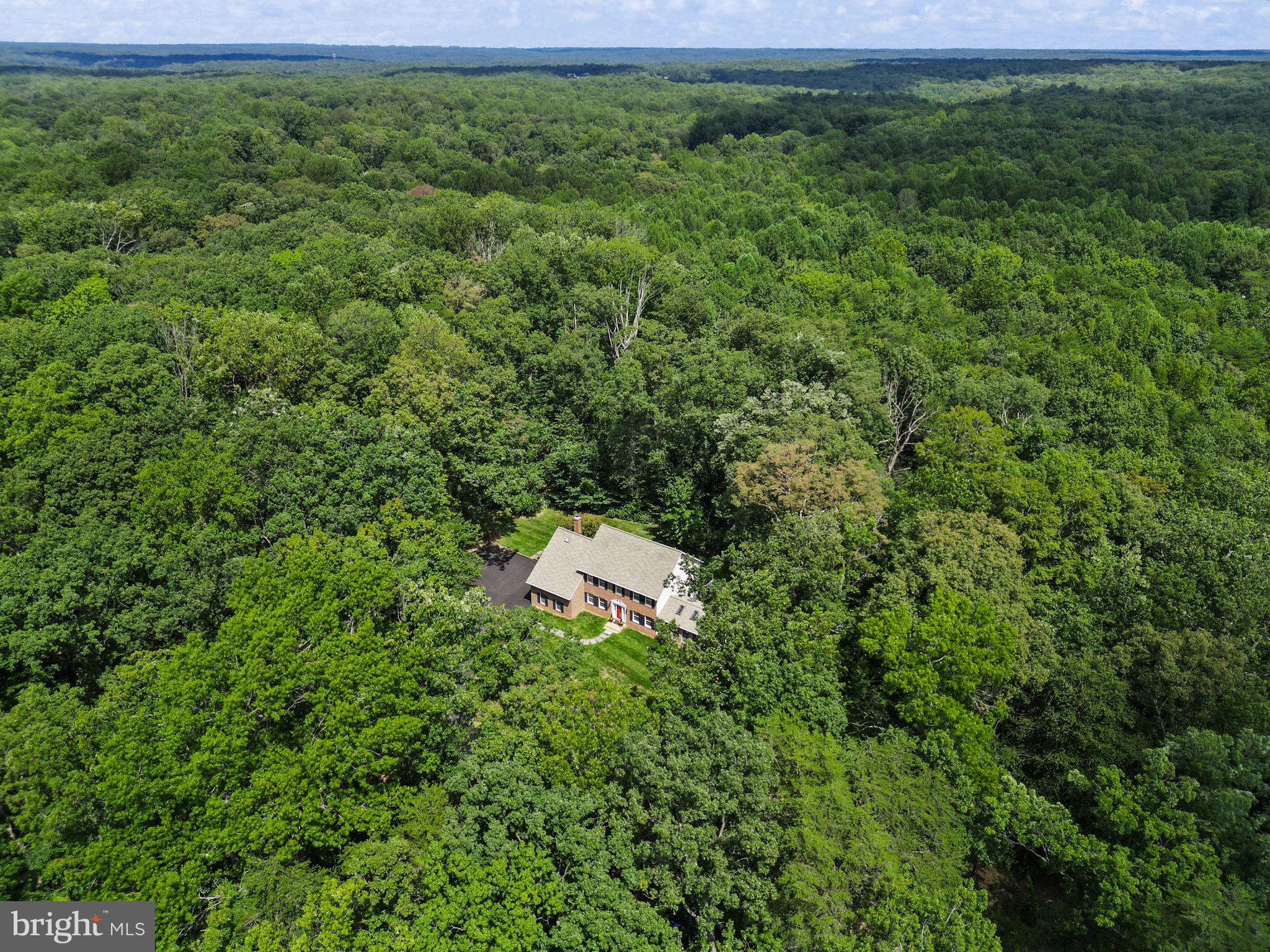 6040 TOKEN FOREST DRIVE