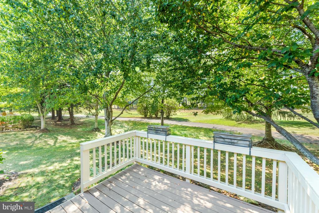 13457 VICTORY GALLOP WAY
