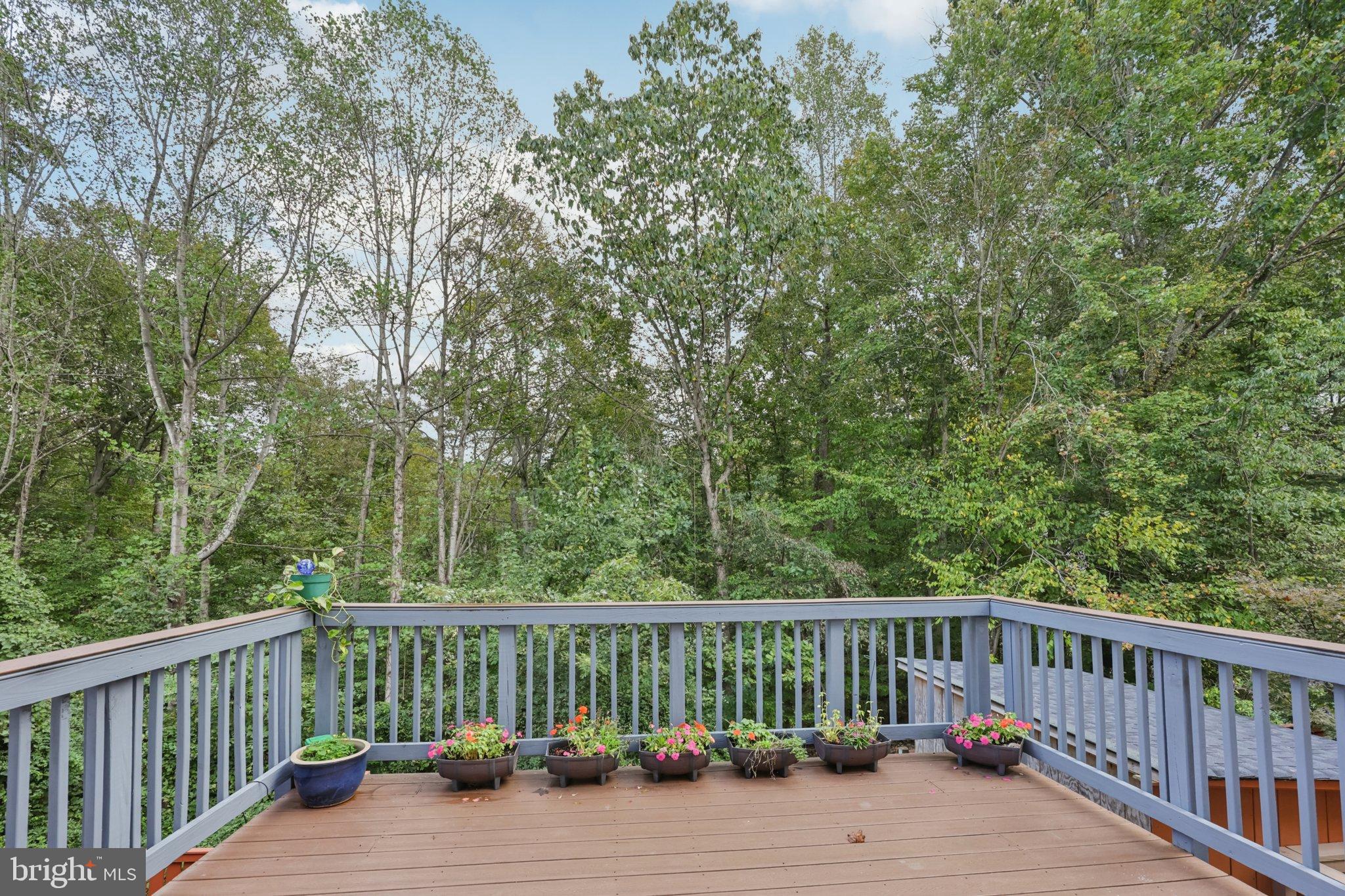 11828 CRITTON CIRCLE