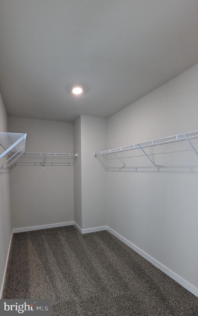 14997 WALTER ROBINSON