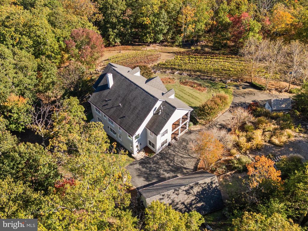 16994 STORMY DRIVE
