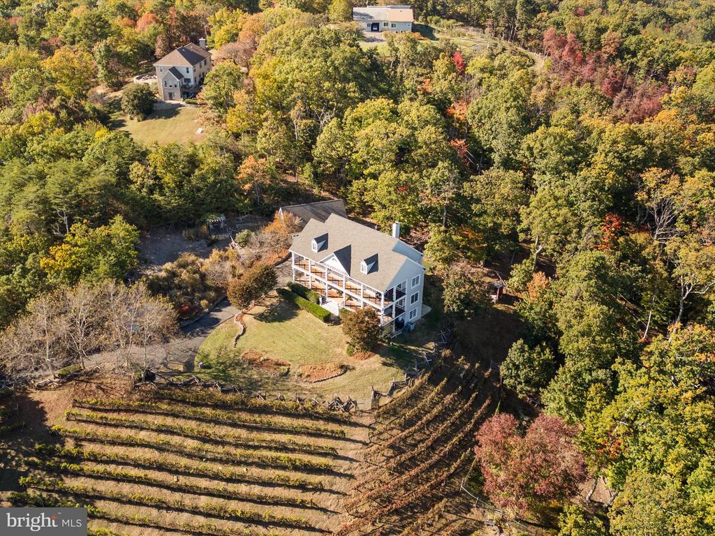 16994 STORMY DRIVE