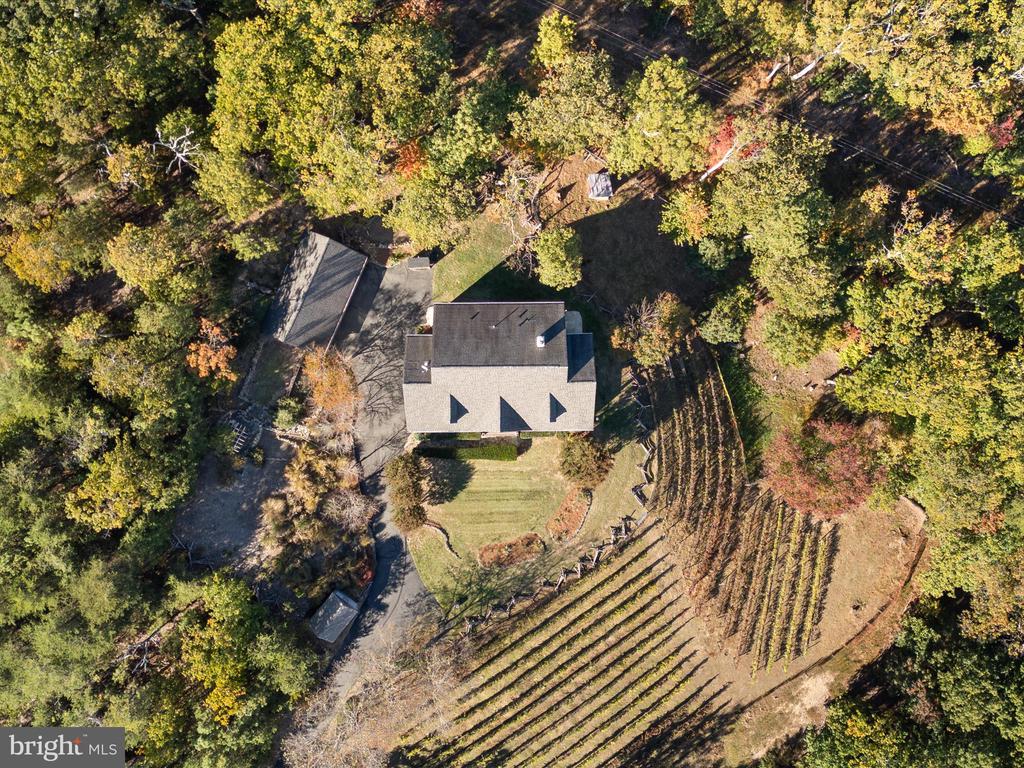16994 STORMY DRIVE