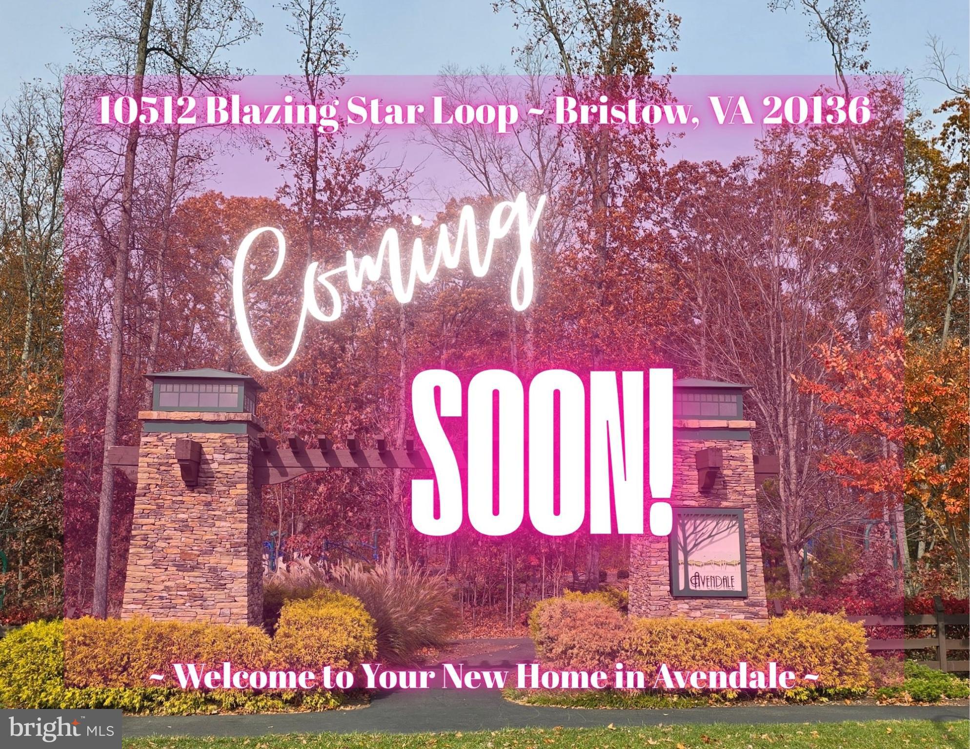 10512 BLAZING STAR LOOP