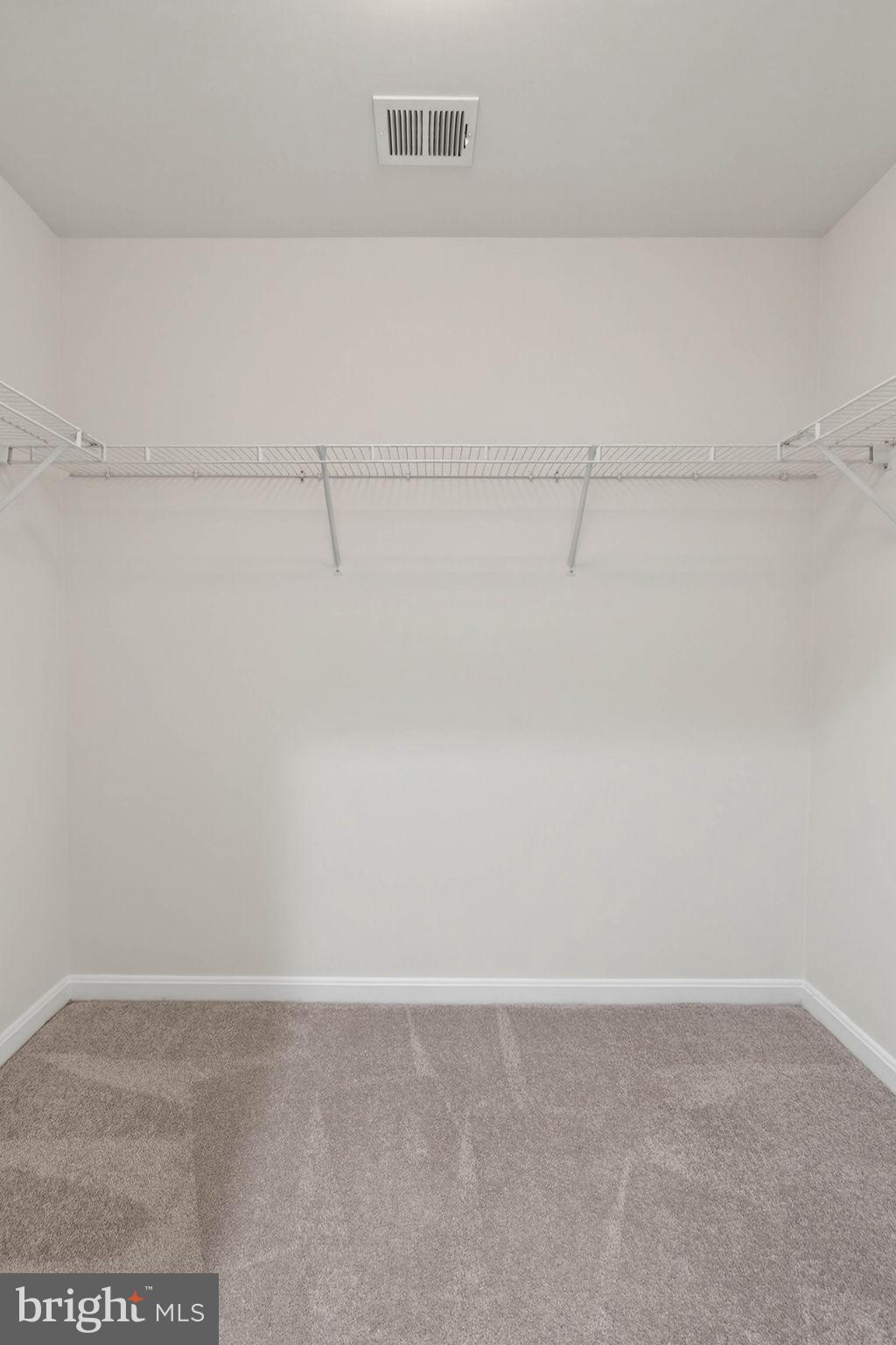 3313 LADY CATHERINE CIRCLE