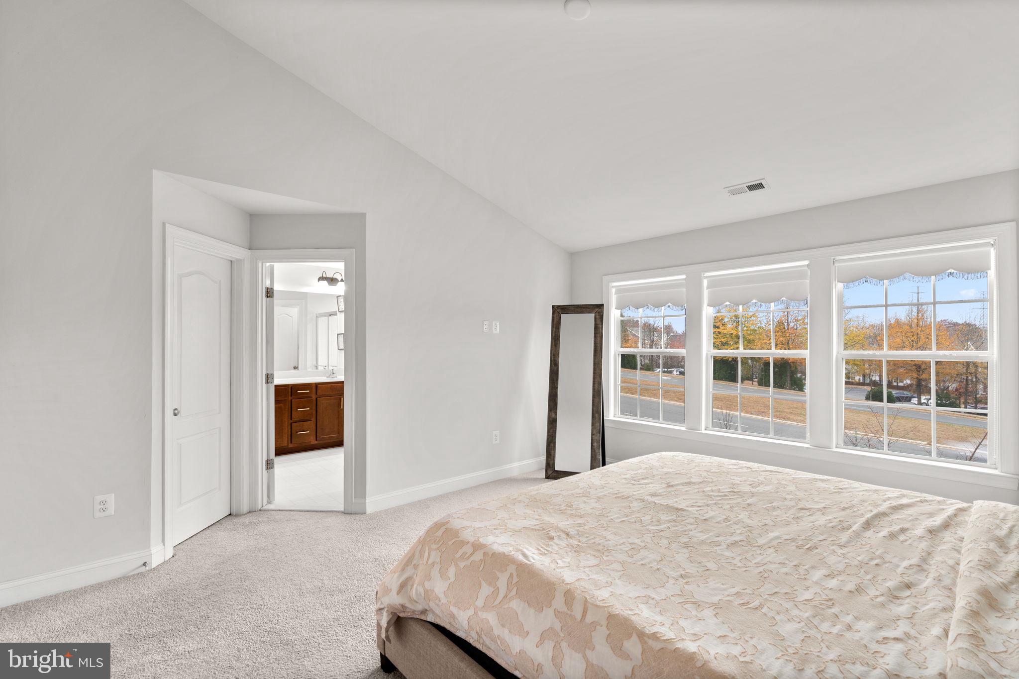 15376 BALLERINA LOOP