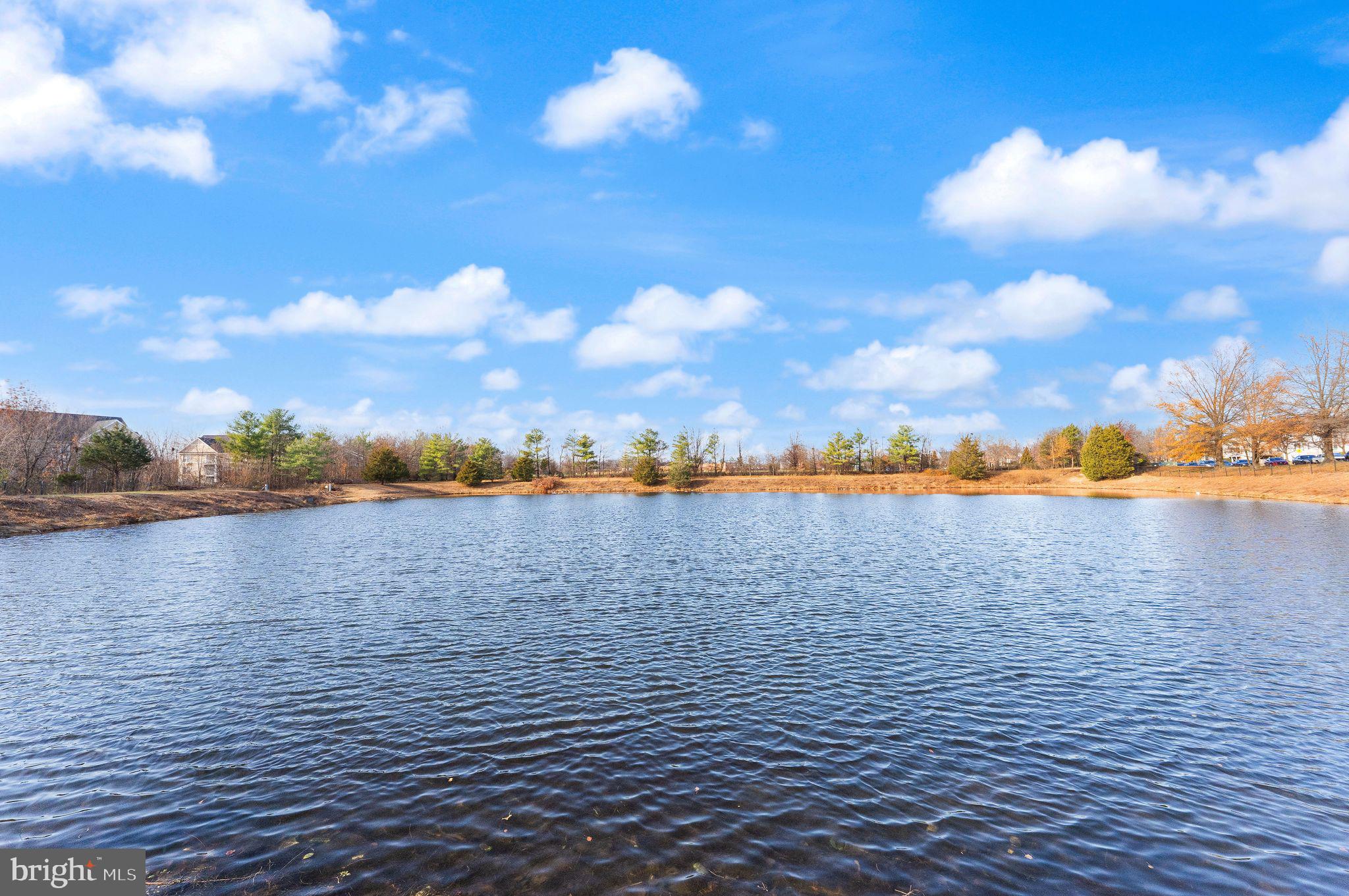 8068 STONEWALL BRIGADE COURT 204