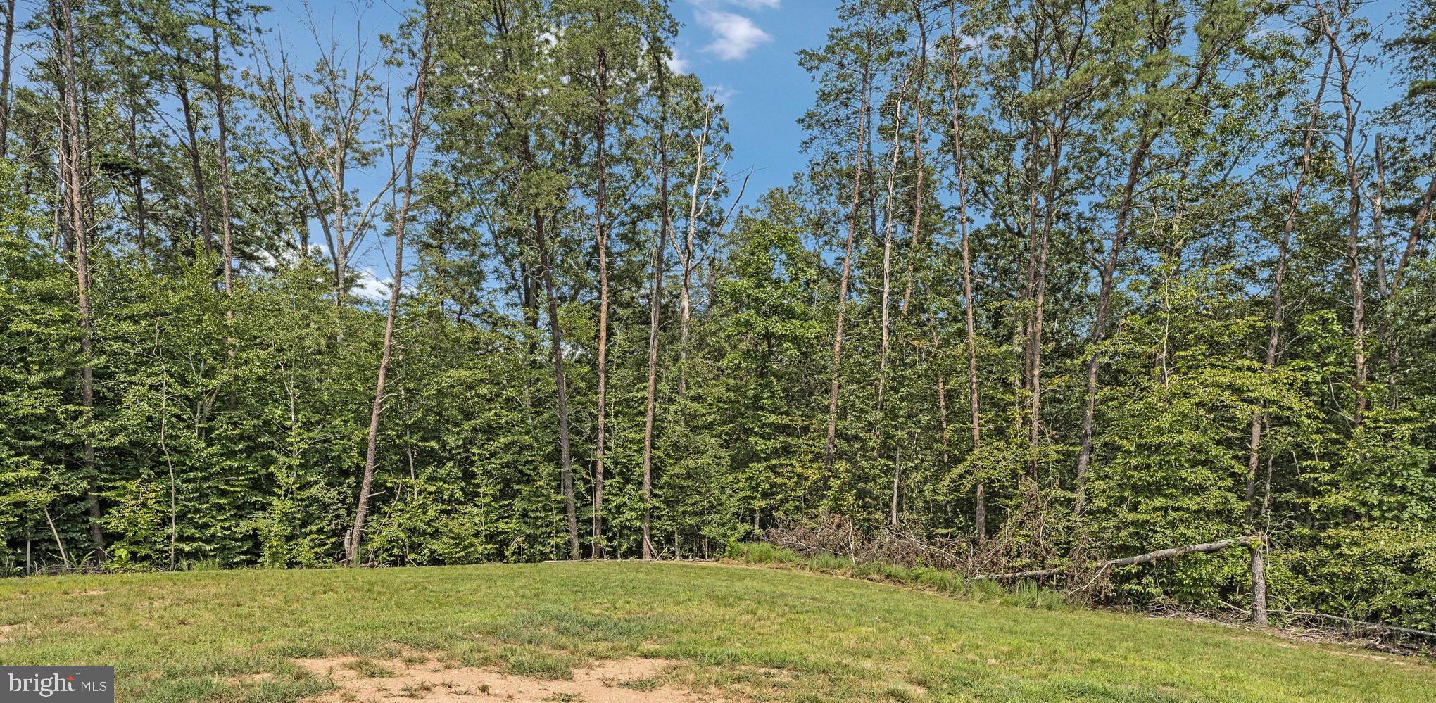 14051 HEATHERS OVERLOOK COURT