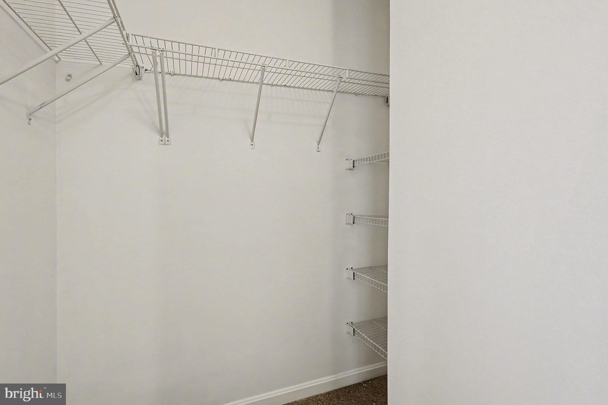 2003 PADDLE BOAT LANE