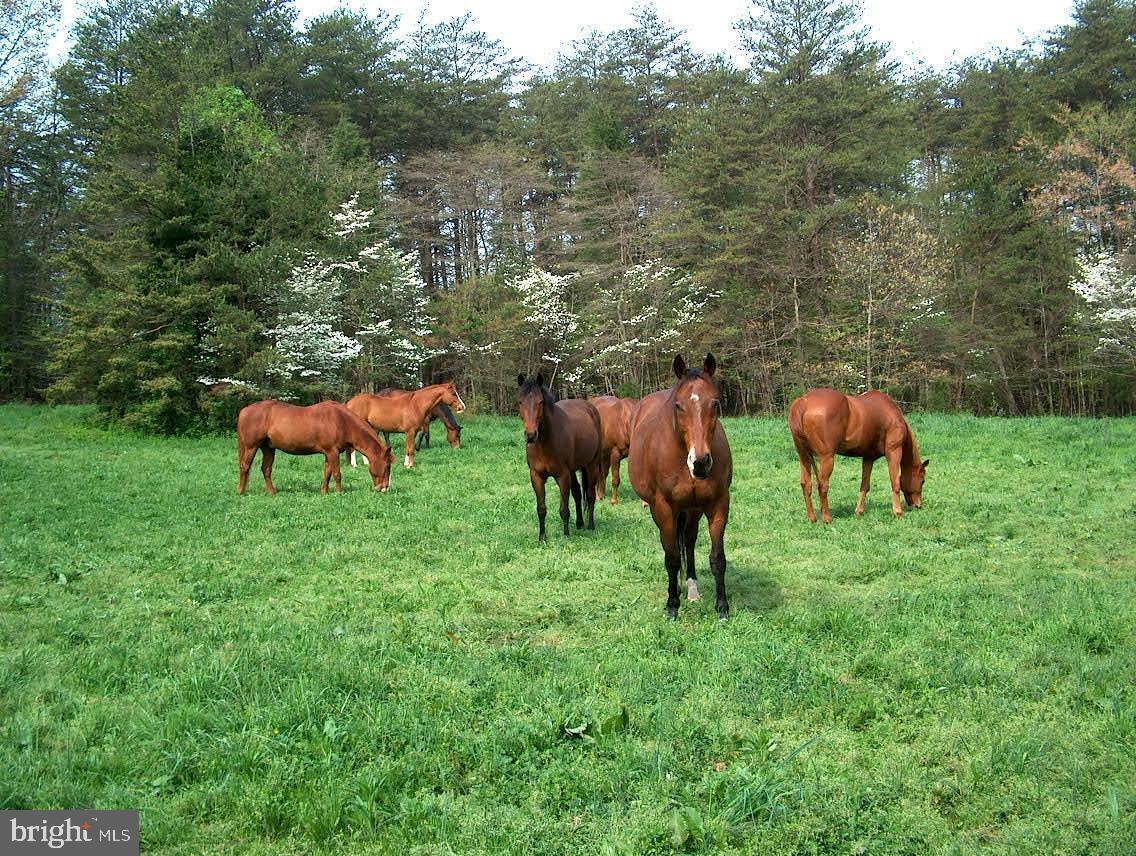 11909 BRADLEY FOREST ROAD