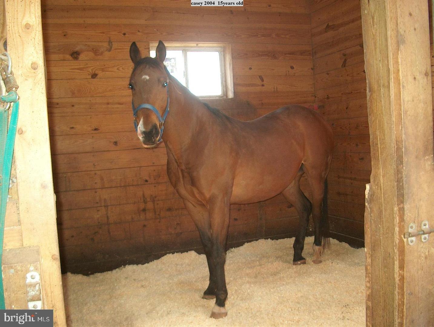 11909 BRADLEY FOREST ROAD