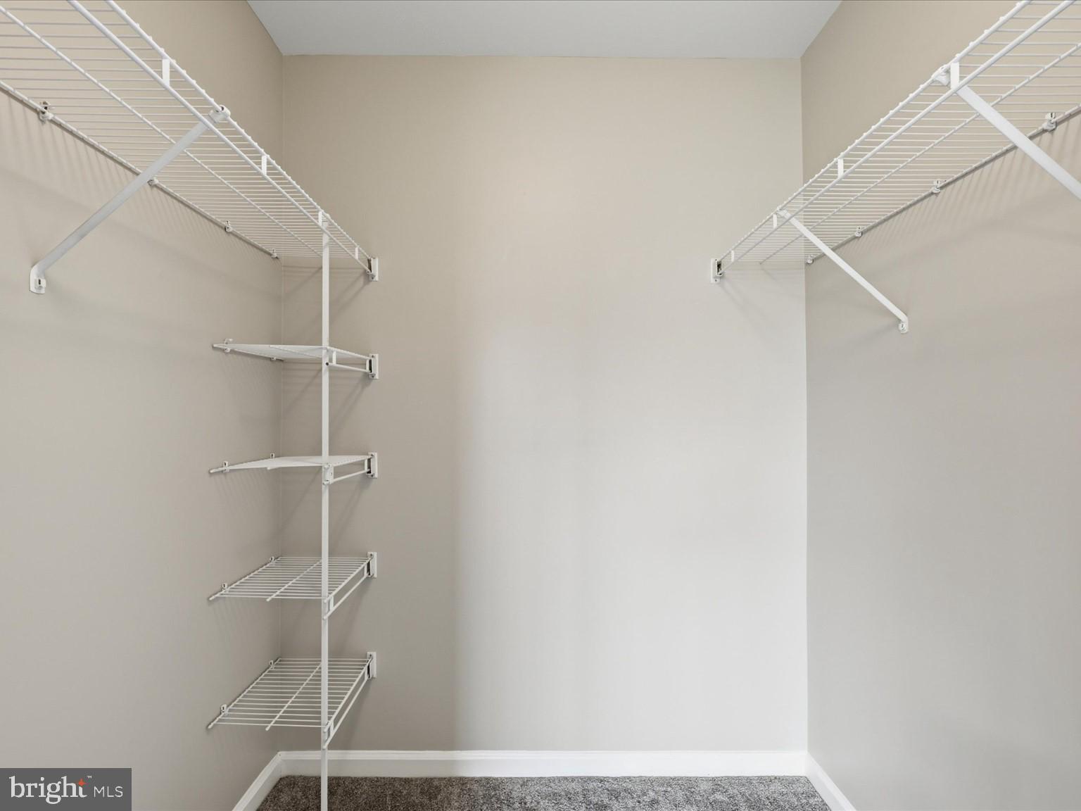 8091 LACY DRIVE 203